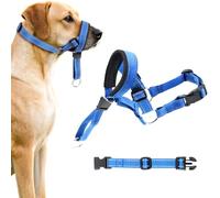 MOTIBACK Dual Use Anti-Pull & Anti-Bite Dog Headcollar with Safety Leash, Adjustable Padded Head Halter for Small to Extra Large Dogs, Training Harness for Walking and Behaviour Control, Blue（L）