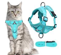 MOTIBACK Escape Proof Cat Harness and Lead Set, Adjustable Reflective Mesh Vest with Leash for Medium Cats, Comfortable & Secure for Walking, Lake Blue, L