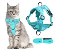 MOTIBACK Escape Proof Cat Harness and Lead Set, Adjustable Reflective Mesh Vest with Leash for Small Cats, Comfortable & Secure for Walking, Lake Blue, M