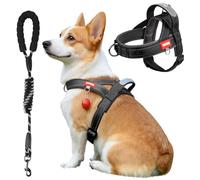 MOTIBACK No Pull Dog Harness and Lead Set, 2-in-1 Reflective Padded Vest with Wide Breathable Mesh, Adjustable Easy Control Pet Harness for Small Medium Dogs, No-Choke Design for Walking Training S