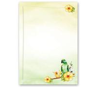 Motif Letter Paper! Animals Green Parrot 50 Sheets DIN A4 - Paper-Media