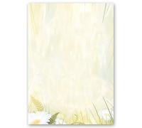 Motif Paper - Stationary Paper Daisies 20 Sheets DIN A4