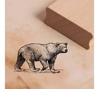 Motif Stamp Brown Bear Goes Stamp 48 x 28 mm