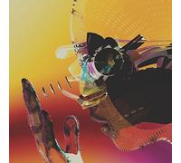 Motion Graphics – Motion Graphics – Vinyl – Domino