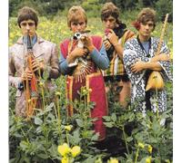 Motions - Impressions of Wonderful