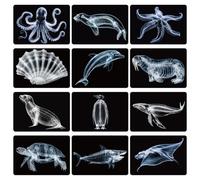 Motiskyy 12 Pcs Animal X-Ray Set Animal X-Ray Flash Cards Educational Science Kit Light Table Accessory, 11.8" x 8.3"(Sea Animals)
