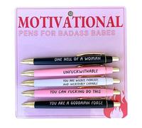 Motivational Badass Pen Set, Funny Pens Swear Word Daily Pen Set, Swear Word Daily Ballpoint Pen Set, Funny Ballpoint Pens Different Swear Word Set, School Office Home Funny Office Gifts (C)