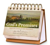 Motivational Calendar - Desk Calendar with Inspirational Thoughts, Christian Gifts, Religious Gifts for Women and Men, 4.7'' x 5'' Flip Calendar, God's Promises Perpetual Calendar, Christian Decor