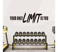 Motivational Quotes Wall Stickers for Office: Gym Inspirational Positive Vinyl Art Wall Decals for Classroom School - Your Only Limite 25" X 7"