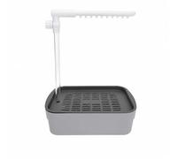 MotiveTech Bird Bathing Basin with Shower Rod for Small Birds Rectangular Bathing Tray with White Upper and Bi Color Lower Body with Spray Resistant Design, 10