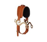MotiveTech Bridle with Padded Noseband Heavy-Duty Training Bridle Rust-Resistant Tack for Equestrians, Riding, Groundwork