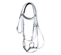 MotiveTech Bridle with Reins, Headstall Accessory, Riding Rope, Stainless Steel Bit for Course Lessons And Training, white 13.5cm
