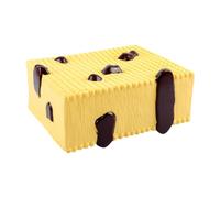 MotiveTech Cell Membrane Structure Model Biology Experiment Equipment for Middle School