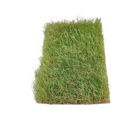 MotiveTech Grass Tuft Model Vegetation Groups Railway Layout Miniature Grass Clusters to Build, Autumn Green