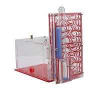 MotiveTech Nest with Feeding Basket Breeding Case for Children's Day Home Bedroom, Red