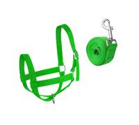 MotiveTech Nylon Halter for Cows, Calves, Cattle, Goats, Sheep, Modern, Donkeys, Foals, Horses, Equipment, Supply, Halter Harness