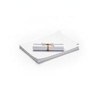 MotiveTech Printing Paper Multi Purpose Double Offset Paper Sheets White Cardstock Smooth Touch Build for Printing Drawing Crafting Instruction Manuals Suitable for Projects, 120g