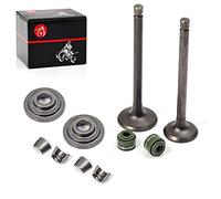 MOTO1988 Valve Set Exhaust Valve Intake Valves with Valve Seals for Honda XR100R XR80R CRF100F CRF80F NSF100 2006 XL100S XL75 XL80S XR100 XR75 XR80 OEM Part Number: 14711-152-000, 14721-176-000