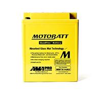 Motobatt Battery MBTX14AU