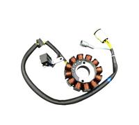Motocross Magneto Generator Stator Coil Assembly Kit NC250 NC450 Parts Stator Coil For 250CC 450CC Engine T6