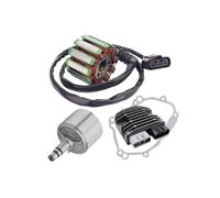 Motocycle Ignition Coil For YZF For R1 For 2004-2008 For FZ1 For FZ8 5VY-15451-10-00 Motorcycle Stator Coil Flywheel Rotor Voltage Rectifier Gasket Ignition device