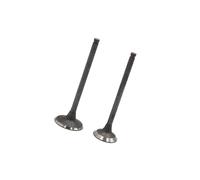 Motoforti Motorcycle Engine Intake Valve, for Honda CG-125, Metal, Black, 2pcs