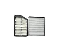 MOTOHIRO Car Engine Cabin Pollen Air Filter 28113-3X000 97133-1E000 for Hyundai Elantra Coupe GT for Kia Forte Forte5 L4 2013-2016 Cabin Air Filters (Size : 2 Pcs Filter)