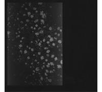 Motorama – Poverty – CD