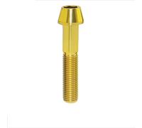 Motorbike accessories 1PCS Titanium Bolt M10x55mm Socket Taper Head Screw Motorcycle Front Brake Caliper Fixing Screws Pitch 1.25(Gold)