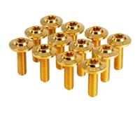 Motorbike Brake Disks 12PCS Front Brake Disc Rotors Mounting Bolts Screws Fit For BMW Titanium Bolt Motorcycle Accessory(E)