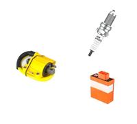 Motorbike CDI Igniter Module NIBBI CDI Box Ignition Coil CDI For ZhongShen NC250 NC300 Engine D9RIV Iridium Spark Plugs Set Off-road Motorcycles Parts