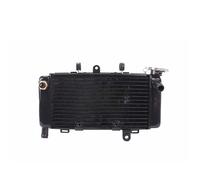 Motorbike Coolant Reservoir Compatible With Magna250 For JADE250 Motorcycle Aluminium Radiator Cooler Cooling Water Tank Motorcycle Reservoir Radiator Coolant Tanks