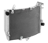 Motorbike Coolant Reservoir Compatible With R6S 2006 2007 2008 2009 Radiator Engine Cooling Cooler Water Motorcycle Coolant Tank Reservoirs Motorcycle Radiator Tanks