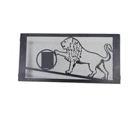 Motorbike Grill Protector Cover Motorcycle Radiator Grille Guard Cover For 600 HUANGLONG 600 600GC Oil Cooler Protection Cover Water Tank Net Cooler