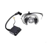 Motorbike Ignition Coil For 50 SX Electric And Ignition Internal Rotor Stator Magneto Gy6 Motorcycle 50cc Accessories Ignition Coil Pit Bike