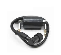 Motorbike Ignition Coil For Kawasaki For Bayou 300 Bayou300 KLF 300 KLF300 1986-2004 Atv Ignition Coil Digital Ignition