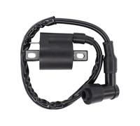 Motorbike Ignition Coil For Raptor For Timberwolf 250 For Blaster For Moto 4 For Big For Bear350 For TTR 225 230 For Kodiak 400 Ignition Coil