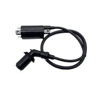 Motorbike Ignition Coil For Virago XV125 XV250 For V-Star 250CC 2Pcs Ignition Coil 4RF-82305-00 XTZ750 LIFAN250 Motorcycle Accessories