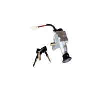 Motorbike Ignition Switch For JOG100 ZY100T LYM100T 100CC 2 Wires Motorcycle Scooters Switch Key Faucet Lock Head Lock Electric Door Lock Scooter Key Ignition(JOG100 II)