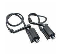 Motorbike Ignitions 2Pcs For EN500C For Vulcan 500 For Ltd 1996-2009 2008 Motorcycle Performance Parts 12V Ignition Coil Ignite System Unit Ignition Switch