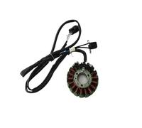 Motorbike Ignitions Ignition Coil Magneto Stator For Keeway RK5 For Silverblade 250 For Insignio250 For SpeedGear 250 For Benelli For Zafferano 250 Cable Length 1020mm Ignition Switch