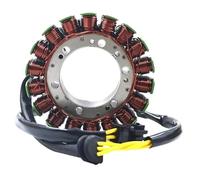 Motorbike Ignitions Motorcycle Accessories Ignitor Stator Coil For BMW F650GS F700GS F800R F800S F800GS F800ST F800GT