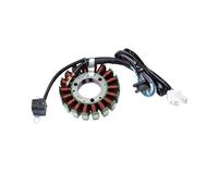 Motorbike Ignitions Motorcycle Magneto for Engine Generator Stator Coil For Yamaha TTR250 for RAID