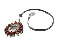 Motorbike Ignitions Motorcycle Magneto Generator Stator Coil For BMW S1000RR K46 2009-2017 For S1000R K47 2014-2017 12317718420