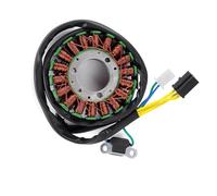 Motorbike part Generator Stator Coil For Suzuki DF125 DF125EY 2000 DF200 DF200ET 1996 DF125EX 1999