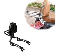 Motorbike Passenger Backrest Motorcycle Detachable Backrest Rear Seat Sissy Bar Passenger Luggage Rack For Indian Scout 100th Anniversary 2020(Black- Silver)