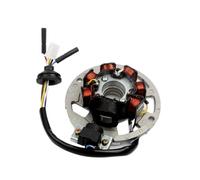 Motorbike Pitbike Pickups Coil 7 coil 6 wire Scooter Magneto Stator for Hacker Hurricane 50 SP Pixel RY6 RY8 Swan 50cc 2009 2-stroke