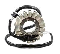 Motorbike Stator Coil 21003-0041 Magneto Engine Generator Stator Coil For EX650 ER6F ER650 ER6N 2006 2007 2008 2009 2010 2011 Assy