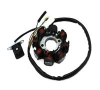 Motorbike Stator Coil 8 Coil Ignition Stator Magneto For GY6 50cc ATV Quad Go Kart Generator