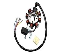 Motorbike Stator Coil Ignition Motorcycle Stator Coil For CG125 CG150 CG200 CG250 Magneto Stator Coil Eight Pole Of The Stator Magneto Generator Stator Coil
